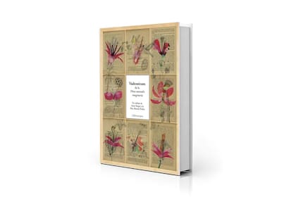 Poemas exquisitos para flores imaginarias