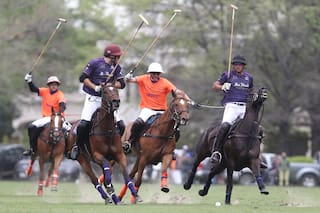 Lo echaron de un equipo de polo y a los nueve días ya es suplente en otro