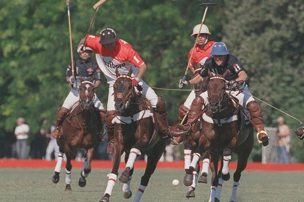 Polo