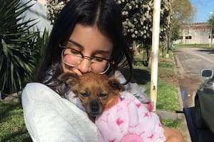 Pola