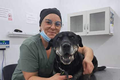 Policarpo, el perro al que le colocaron el primer marcapasos en la Facultad de Veterinaria.
Foto: FVET.