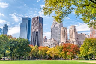 Policía detiene en Nueva York a hombre que arrojó artefacto incendiario cerca de protesta antimusulmana