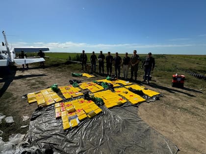 Policías de Entre Ríos y efectivos de Gendarmería, junto a la carga de cocaína transportada en un avión que hizo un aterrizaje forzoso en Ibicuy, Entre Ríos