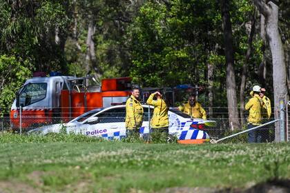 Policías y bomberos, cerca del lugar donde chocaron dos avionetas ligeras en pleno vuelo, en una zona boscosa al suroeste de of Sydney, el 26 de octubre de 2024. (Dean Lewins/AAP Image vía AP)