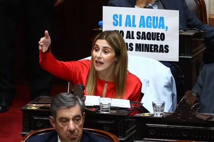 Politica - Tratamiento de la modificación de la Ley de Glaciares. Camara de Diputados, Congreso, CABA.