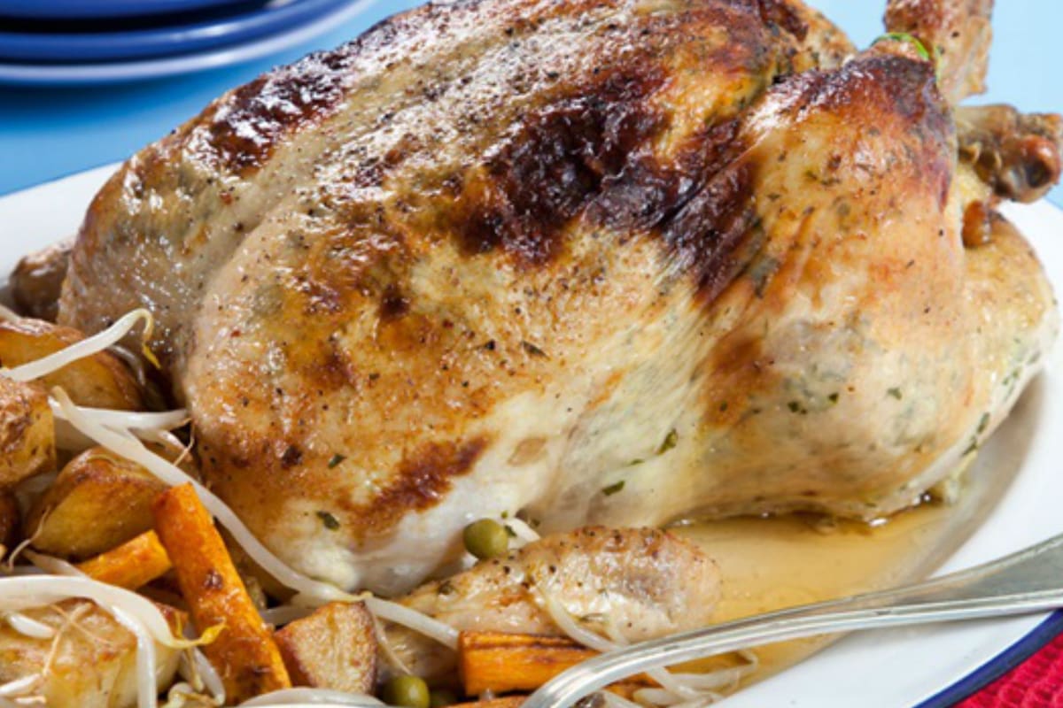 Pollo