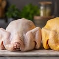 Pollo con piel blanca o amarilla: en qué se diferencian y cuál es la mejor opción