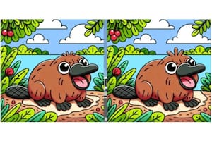 Poné en juego tus habilidades cognitivas en tan solo 10 segundos.