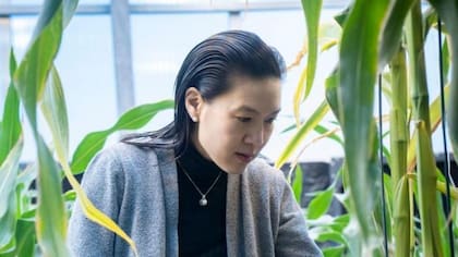 Ponsi Trivisvavet se centra en cultivar cultivos con menos recursos