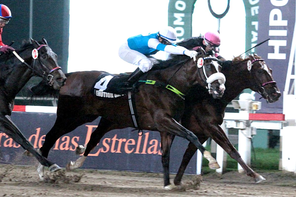 Por adentro, Dandy del Barrio se adelantó a Emotion Orpen y Alampur, en un gran final