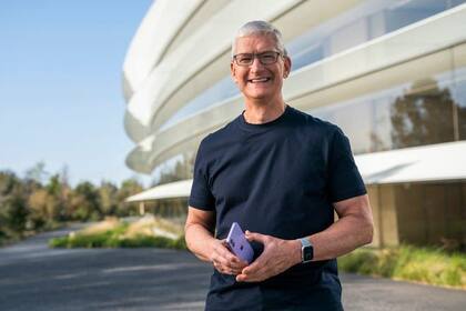 Por ahora, Apple solo implementó esta tecnología en sus modelos Pro (Imagen de Pinterest)