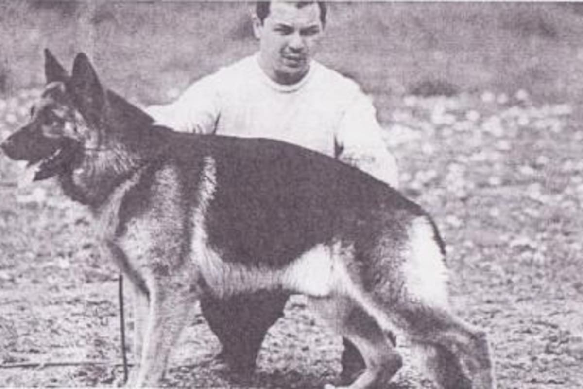 Por Chonino, se fijó el 2 de junio como el Día nacional del Perro en la Argentina
