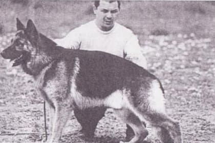 Por Chonino, se fijó el 2 de junio como el Día nacional del Perro en la Argentina