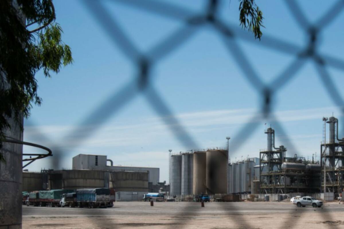 Por día en un jornada de trabajo llegaban 1000 camiones