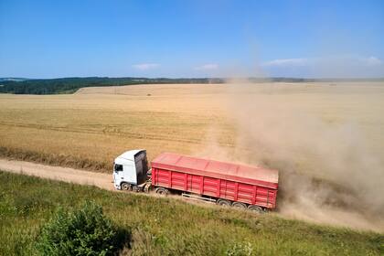 Por el conflicto camioneros recomendaron no levantar la cosecha de los campos de Colón