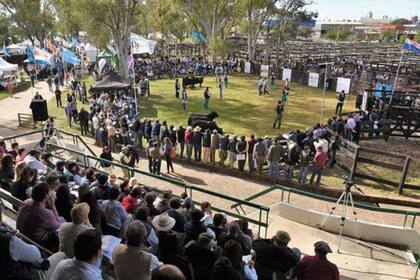 Por el coronavirus cancelan la exposición de Brangus en Corrientes