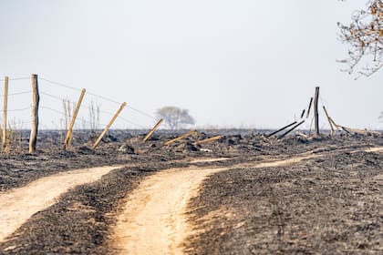 Por el fuego, se dañaron los alambrados perimetrales que impiden. Si no se reparan, la fauna silvestre se verá afectada