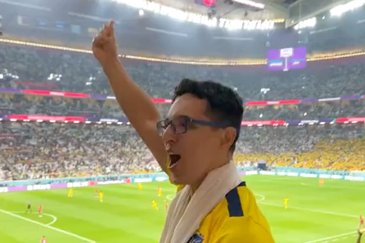 Por el gol anulado a Ecuador, un hincha de la “Tri” se trenzó con qataríes en la tribuna