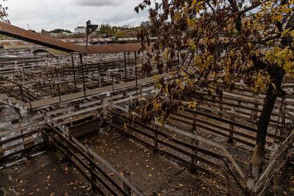 Por el paro del campo el mercado de Liniers se encuentra vacío y sin movimiento