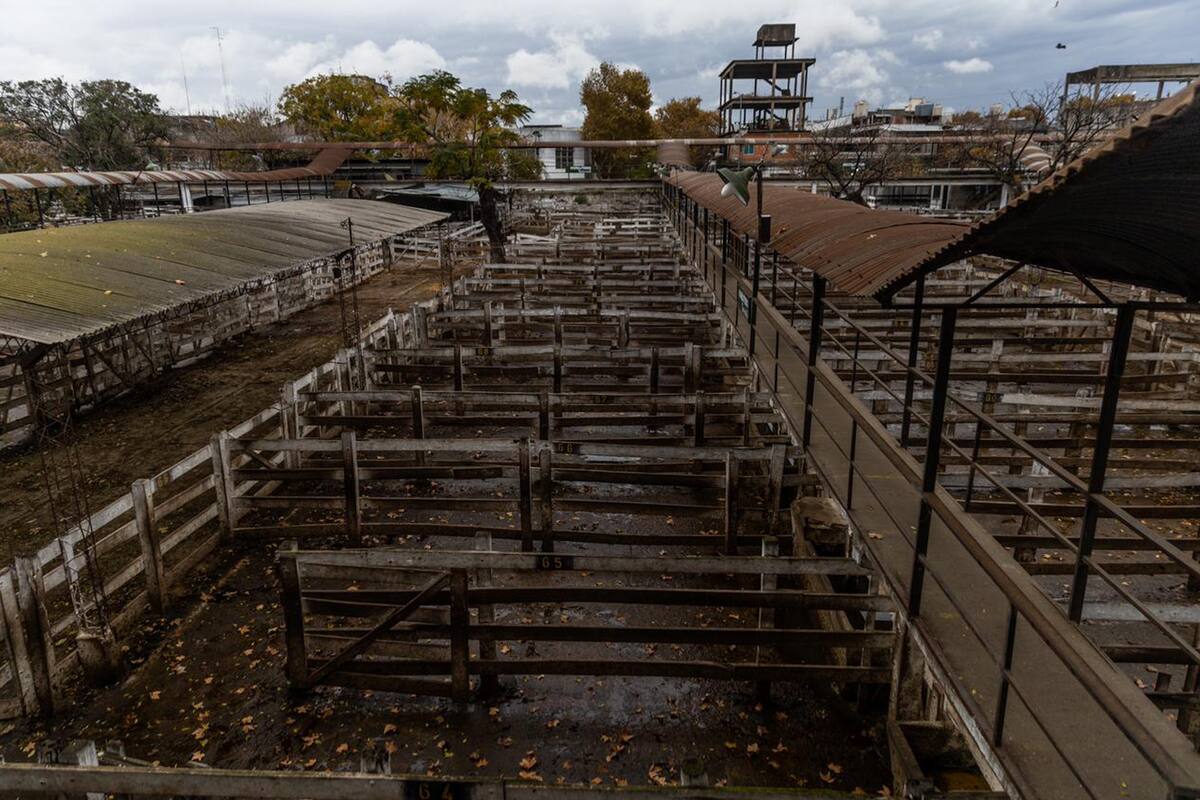 Por el paro del campo el mercado de Liniers se encuentra vacío y sin movimiento