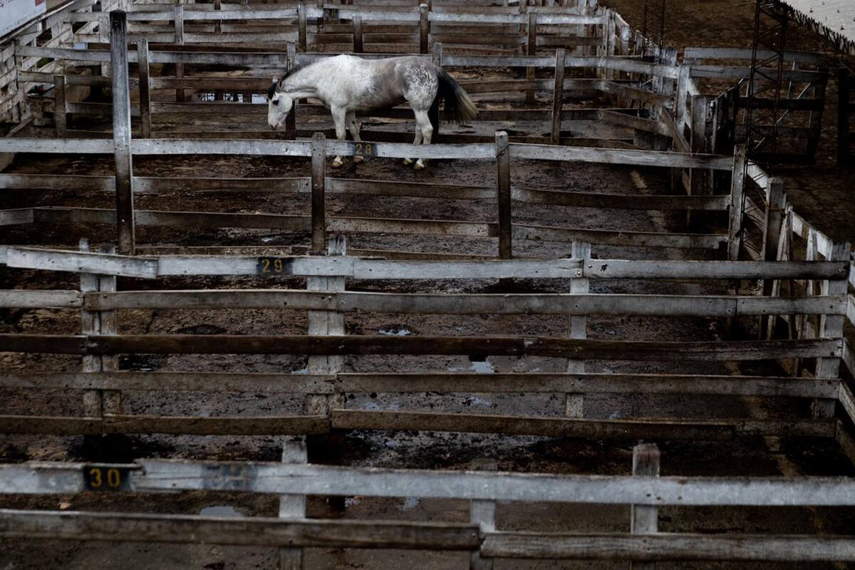 Por el paro del campo el mercado de Liniers se encuentra vacío y sin movimiento
