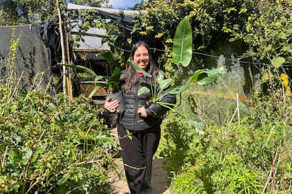 Por estos días, el Vivero recibe visitas que se llevan los últimos ejemplares de plantas; todos quieren tener su "planta de Chola" antes de que este santuario verde cierre sus puertas