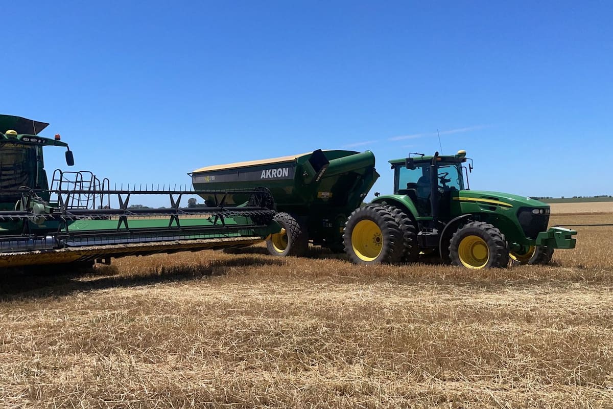 Por factores macro y por los fundamentos del mercado, los precios internacionales de los granos de todos los cultivos están entre un 20 a un 25% más bajos que el ciclo pasado