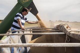 En mayo se aceleraron los negocios por soja en un año atípico para las ventas