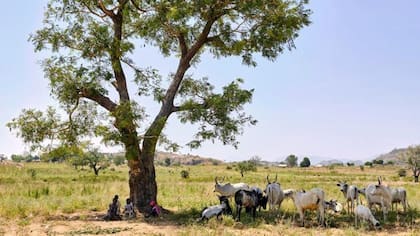 Por haber crecido en la Nigeria rural, Sulaiman entiende los problemas que contribuyen a que se produzcan secuestros