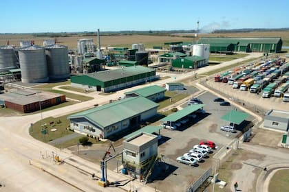 Por la baja demanda la firma no está activa