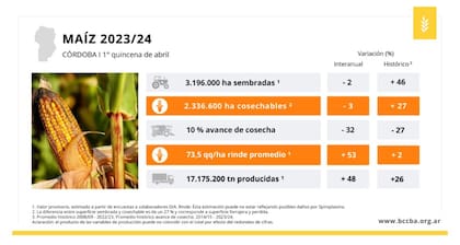 Por la chicharrita, Córdoba perderá US$1130 millones