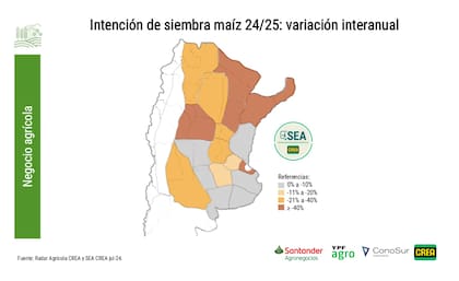 Por la chicharrita (Dalbulus maidis), en la campaña 23/24, “los primeros relevamientos obtenidos de las Encuestas SEA CREA muestran una merma relevante de maíz, de un -23% en comparación del ciclo 23/24, aproximadamente unas 1,65 millones de hectáreas”