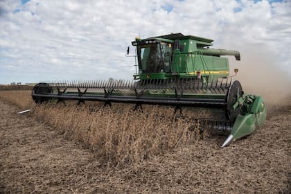 Por la sequía, la cosecha de soja se ubicará en 21 millones de toneladas