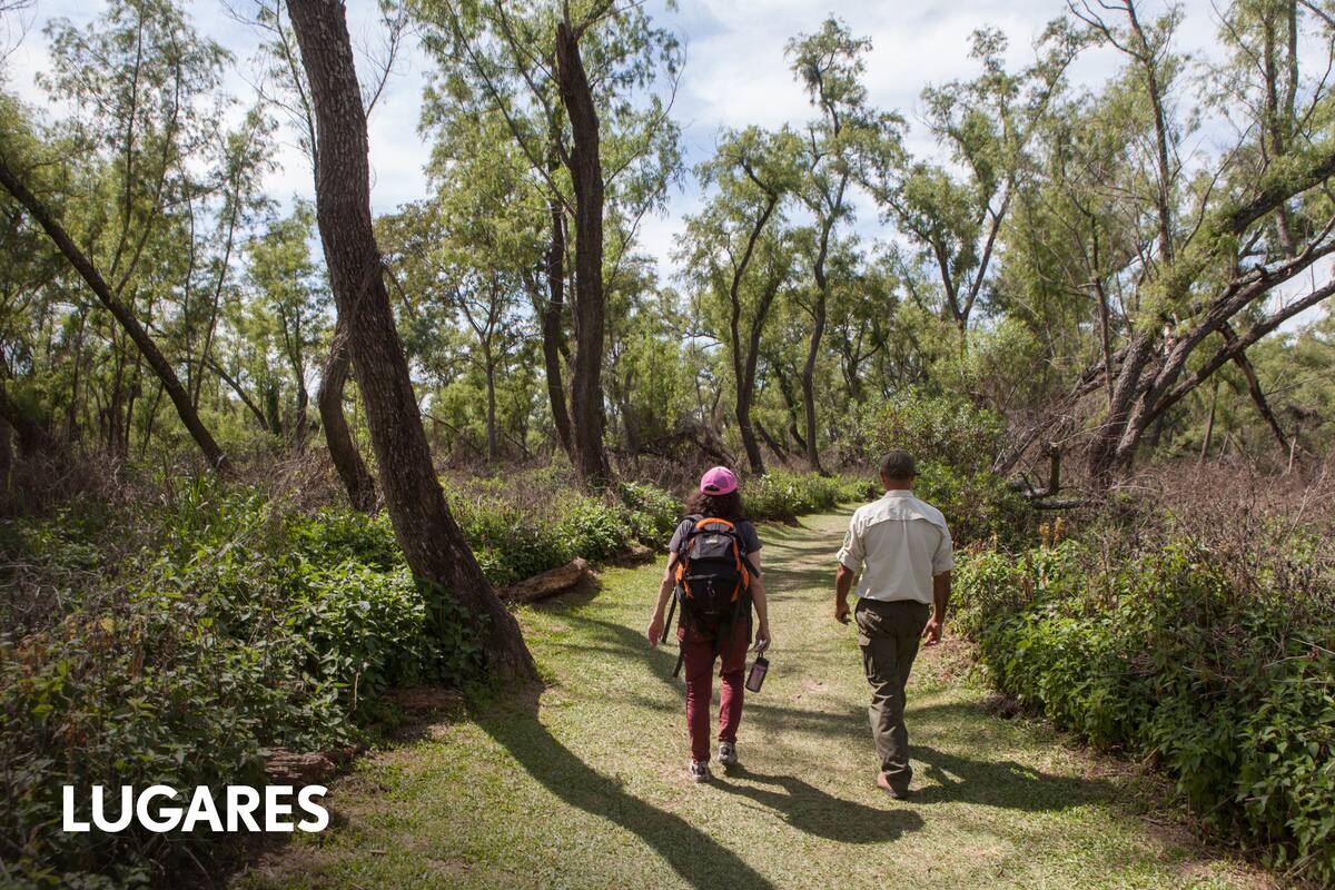 Por los senderos del Parque
Nacional Pre-Delta.
