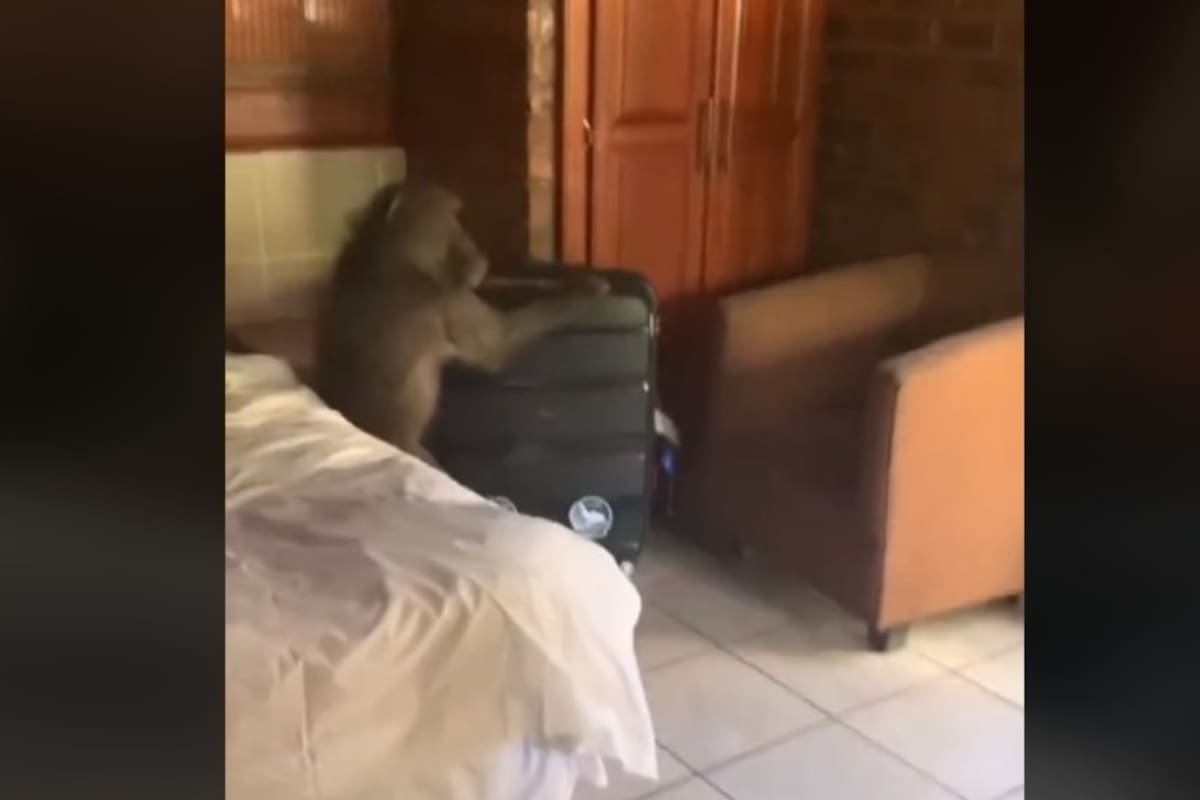 Por más de media hora, las huéspedes se escondieron en el baño, mientras grababan la experiencia