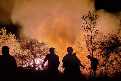 Por medio de un sistema de alertas, los vecinos activan las brigadas