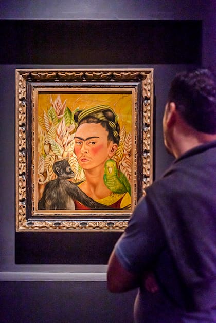 Por primera vez en Sudamérica, llega la exposición "Viva Frida"