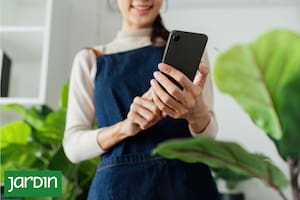La tecnología que viene al rescate de quienes siempre fracasan con las plantas