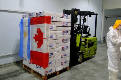 Por primera vez, llega carne avícola a Cánada