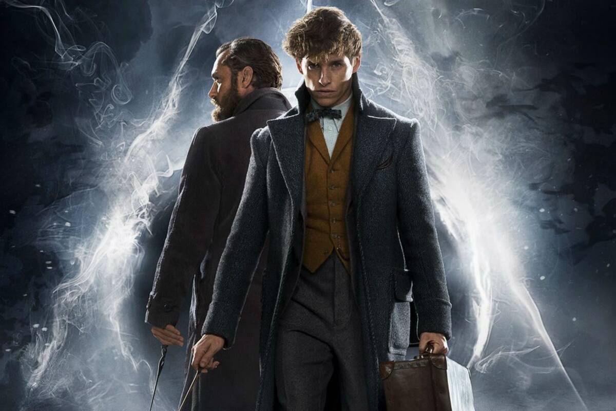 Por primera vez se verá a Jude Law en la piel de Albus Dumbledore