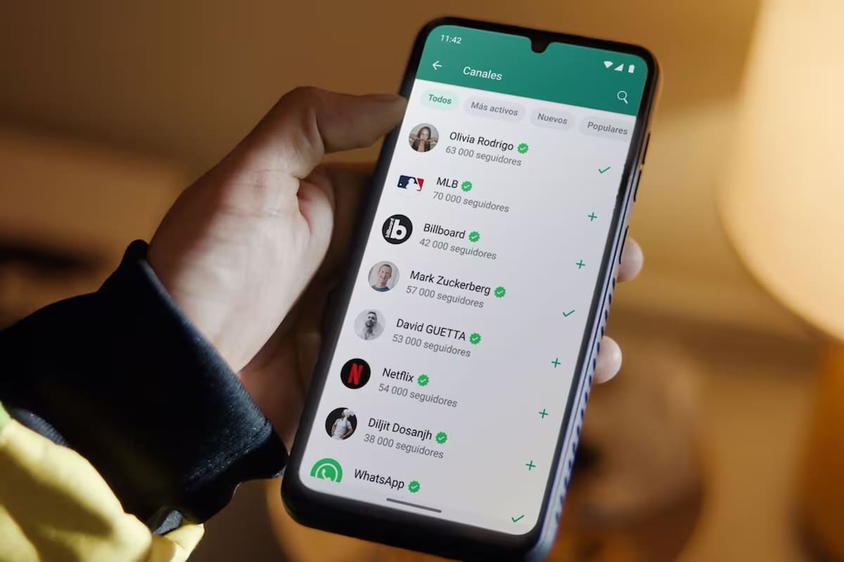 Por qué desde WhatsApp recomiendan borrar los contactos que ya no usás