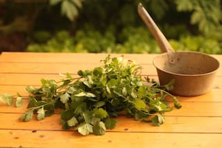 Por qué algunas personas aman el cilantro y otras no lo soportan