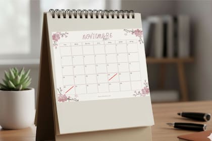 Por qué el viernes 21 de noviembre es no laborable