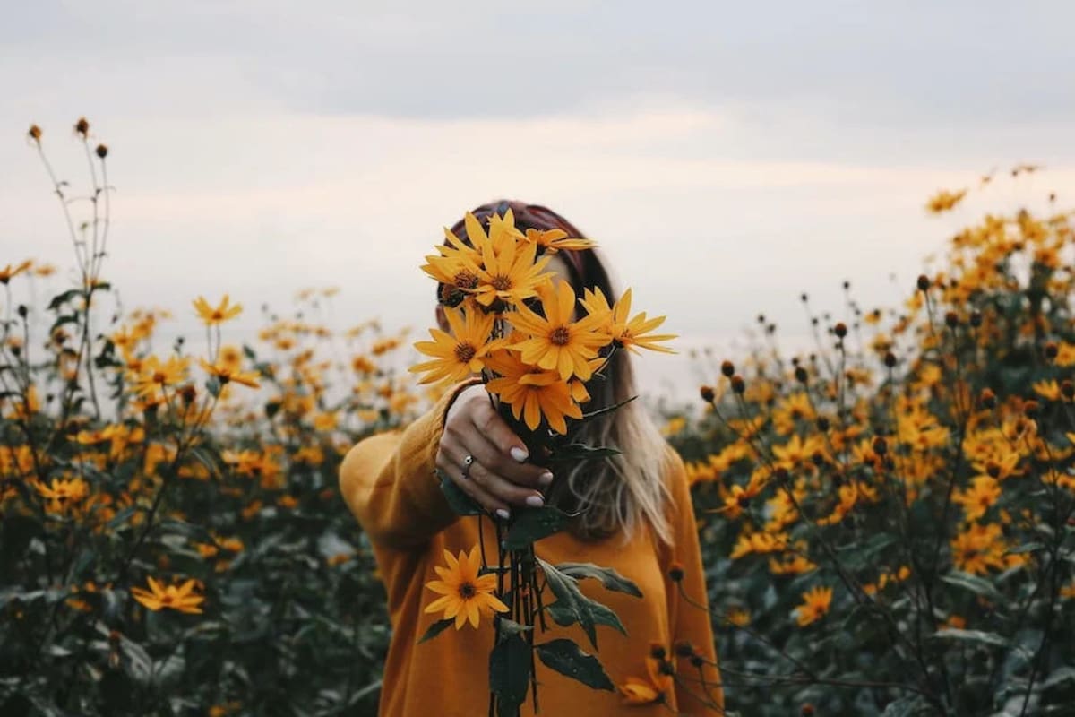Por qué este 29 de febrero se regalarán flores amarillas, según un viral en TikTok (Foto Pexels)