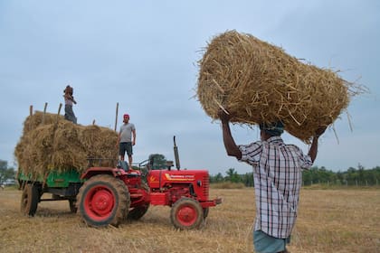 En septiembre pasado, India sancionó una ley para liberalizar la comercialización de productos agrícolas y está avanzando con otras reformas