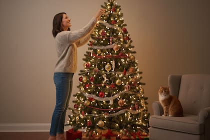 Por qué hoy se arma el árbol navideño