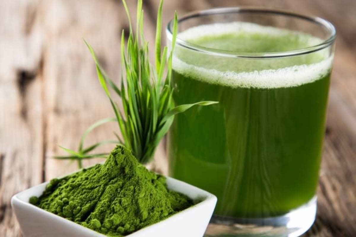 Por qué las algas son parte de tu dieta aunque no lo sepas y qué tan beneficiosas son para tu salud