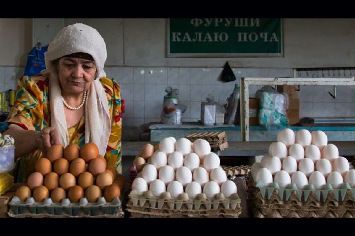 ¿Por qué los huevos tienen diferrntes colores?