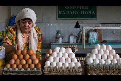 ¿Por qué los huevos tienen diferrntes colores?