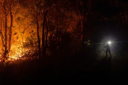 Por qué los incendios forestales en Chile se propagan más rápido y arden con mayor intensidad